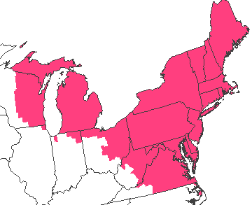 Ареал обитания непарного шелкопряда в США на 2007 год. Картинка с сайта http://www.fs.fed.us/