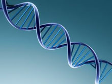 ДНК - основа всех недугов