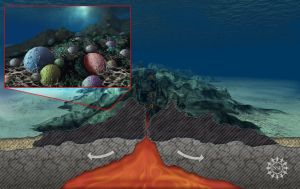 Океанографы обнаружили, что горные породы, залегающие ниже уровня морского дна, кишат живыми микроорганизмами. С сайта http://www.nsf.gov/ (кликните картинку для увеличения)