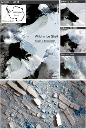 Разлом на ледовом плато Уилкинса с сайта esa.int (кликните картинку для увеличения)