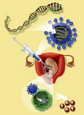 Использование наночастиц при генной терапии станет основой лечения наследственных заболеваний.