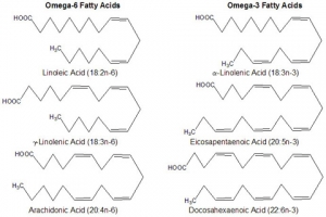 Представители семейств омега-3 и омега-6 полиненасыщенных жирных кислот. (кликните картинку для увеличения)