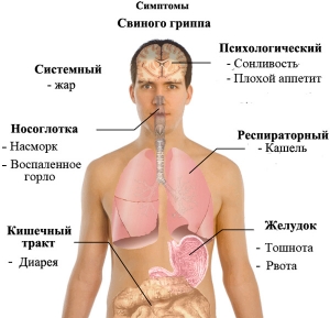 Симптомы свиного гриппа (http://www.yuga.ru/) (кликните картинку для увеличения)