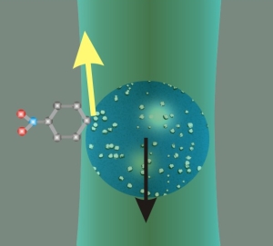 Флуоресцентная молекула, связанная с частицей, излучает фотон вверх; в то же время, частица в оптической ловушке получает толчок в обратном направлении. (кликните картинку для увеличения)