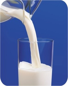 Исследования показали, что дети, которые регулярно пьют полножирное молоко, весят на 4 кг меньше тех детей, которые отдают предпочтение другим напиткам.