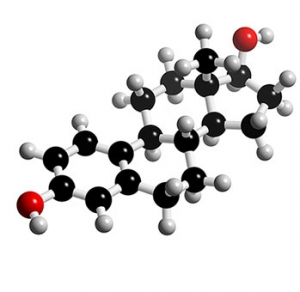 3D-модель молекулы эстрогена – «защитника» сердечно-сосудистой системы женского организма. (кликните картинку для увеличения)