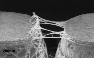 Изображение датчика, полученное при помощи
сканирующего электронного микроскопа. Отчетливо видны нанотрубки,
размещенные на поверхности CMOS-чипа. (кликните картинку для увеличения)