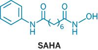Ингибитор гистондеацетилазы - субероиланилид гидроксамовой кислоты (SAHA)