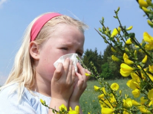 По статистике 40% юных австралийцев страдают от различных форм аллергии (пищевой аллергии, астмы, аллергии на пыльцу растений и т.д.) (кликните картинку для увеличения)