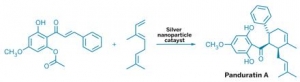 Реакция циклоприсоединения по Дильсу-Альдеру катализируемая наночастицами серебра. (кликните картинку для увеличения)