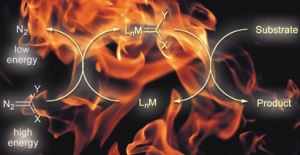 Взрывчатые диазосоединения катализируют экзотермические реакции (кликните картинку для увеличения)