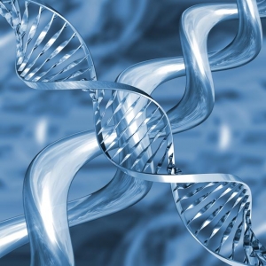 Молекулы ДНК – это уникальное средство хранения информации, в котором записаны все сведения об организме того или иного существа. Создание технологий, повторяющих механизмы хранения и воспроизведения наследственной информации, - это революция в области обработки данных. (кликните картинку для увеличения)