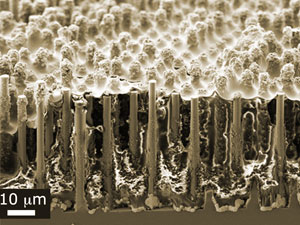 С помощью нитей кремния микронной толщины можно создать эффективные солнечные батареи.