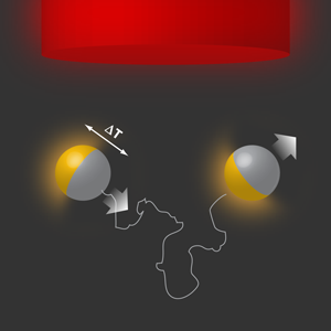 Схематическое изображение поставленного эксперимента
с частицами Януса.