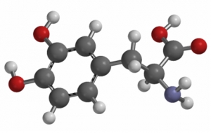 Модель строения молекулы леводопы (3-дигидрокси-L-тирозина, по классификации ИЮПАК). (кликните картинку для увеличения)