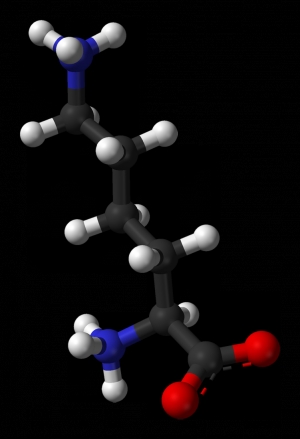 Трёхмерная модель строения молекулы лизина – незаменимой аминокислоты, входящей в состав огромного количества белковых молекул. (кликните картинку для увеличения)