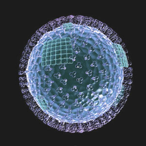 Модель строения вируса гриппа (общий вид).