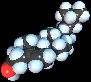 На основе математического моделирования польские ученые предположили,
что углеродные нанотрубки помогут удалять избыточный холестерин из
организма человека.