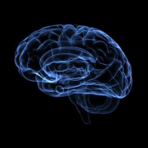 При развитии болезни Хантингтона в первую очередь происходит поражение специфических областей головного мозга, что в целом оказывает весьма негативное влияние на функционирование систем органов организма. (кликните картинку для увеличения)