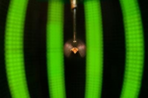 Дрозофила, находящаяся в специальной зоне, освещаемой с помощью LED. (кликните картинку для увеличения)