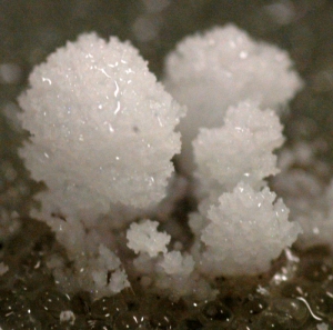 Увеличенное изображение соляного кристалла, сформировавшегося на
пористой поверхности. (кликните картинку для увеличения)