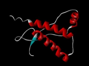 Изображение молекулы приона. (кликните картинку для увеличения)