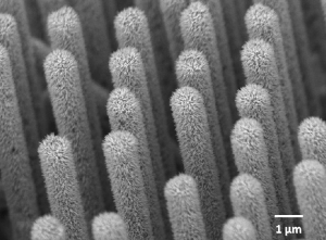 Нанопровода нитрида иридия галлия, выращенные на массиве кремниевых
проводов. (кликните картинку для увеличения)