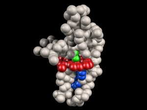 Молекулярная структура одного из белков. (кликните картинку для увеличения)