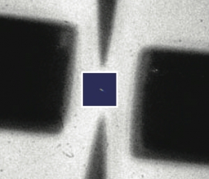 Изображение экспериментальной установки, где между двумя оптическими волокнами был зажат отдельный ион. (кликните картинку для увеличения)