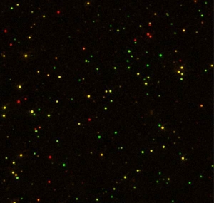 Раствор миллионов квантовых точек, нанесенный тонким слоем не полимерную пленку (наблюдение через микроскоп). (кликните картинку для увеличения)