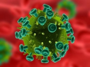 Схематическое изображение ВИЧ. (кликните картинку для увеличения)