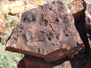Камень, на поверхности которого видны разломы. Его возраст - 3,48 млрд. лет (формация «Дрессер», Пилбара, Западная Австралия). (кликните картинку для увеличения)