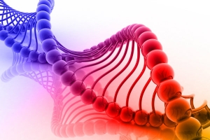 Геном — наследственный материал, находящийся в клетке организма. (кликните картинку для увеличения)