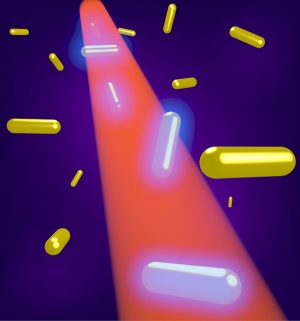 Схематическое изображение эксперимента по возбуждению золотых наностержней в водной суспензии с помощью лазерного излучения. (кликните картинку для увеличения)