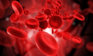 Изображение эритроцитов в кровяном русле. (кликните картинку для увеличения)