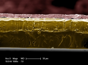 Изображение среза полиэтилентерефталата с графеновой пленкой (получено при помощи сканирующего туннельного микроскопа). (кликните картинку для увеличения)