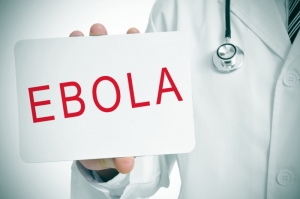 Вирус Эбола – род вирусов семейства <i>Filoviridae</i>, которые инициируют развитие у высших приматов геморрагической лихорадки Эбола. (кликните картинку для увеличения)