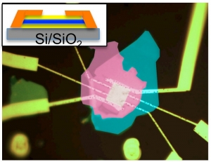Псевдо-цветное изображение готового устройства из фосфорена, зажатого между двумя листами нитрида бора, полученное при помощи оптического микроскопа. (кликните картинку для увеличения)