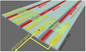 Схематическое изображение детектора на чипе. (кликните картинку для увеличения)