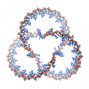 Полученное на компьютере изображение РНК, свёрнутой в трилистный узел. (кликните картинку для увеличения)